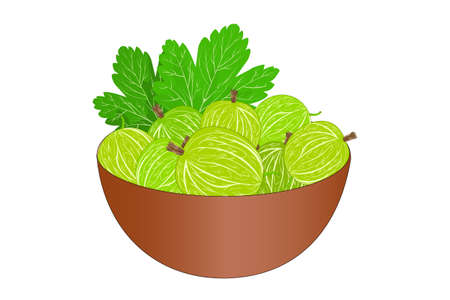 Bowl of delicious juicy gooseberries isolated on white background. Big pile of fresh green gooseberries in the brown bowl. Kitchenware design element. Full plate of beautiful juicy berries. Bountiful harvest. Organic fruit. Stock vector illustrationのイラスト素材