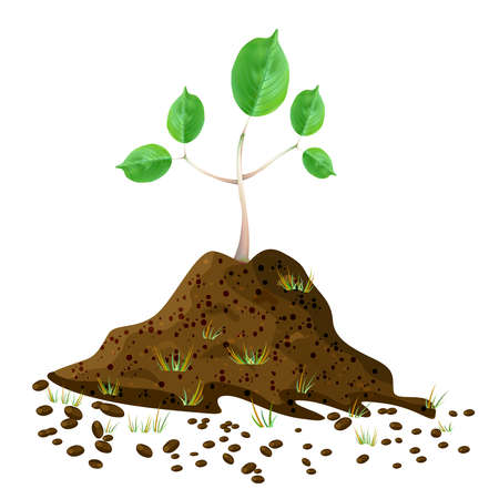 Seedling in soil pile isolated on white background. Pile of dirt and growing green sapling. Sprout shoot germination in the pile dirt soil. Young tree growing in the ground. Agricultural plant spring. Arbor day. Earth day. Stock vector illustrationのイラスト素材