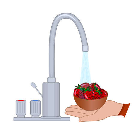 Washing vegetables and fruit. Hand holding bowl with strawberries under water tap isolated on white background. Clean food concept. Personal hygiene. Wash raw food before cooking. Virus prevention and protection. Stock vector illustrationのイラスト素材
