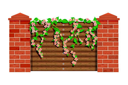 Blooming tree branch with flowers and green leaves on wooden fence  isolated on white background. Pink bloom liana or ivy climbing over the garden fence wall. Park wood barrier with pillars of bricks. Stock vector illustrationのイラスト素材