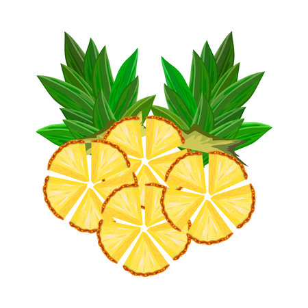 Pineapple isolated on white background. Fresh tropical fruit ananas slices with green leaves. Ripe juicy pineapple pieces. Raw sweet anana ring. For label or packaging design. Stock vector illustrationのイラスト素材