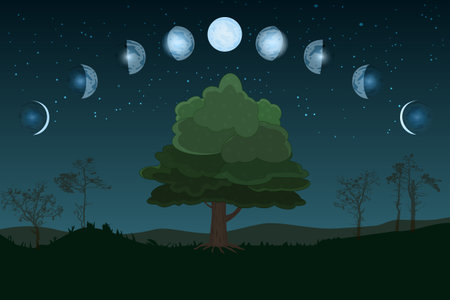 Moon phases. Whole cycle from new moon to full. Cartoon moon phase. Lunar cycle change. New, waxing, quarter, crescent, half, full, waning, eclipse. Space of cosmos. Night sky and landscape with trees. Stock vector illustrationのイラスト素材