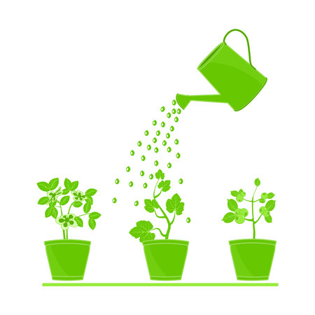 Watering can and plants in pot isolated on white background. Garden watering can irrigation plants. Three flowerpot with different potted flowers irrigate from water container. Growing plants and irrigation. Flowers are watered from watering can. Stock vector illustrationのイラスト素材
