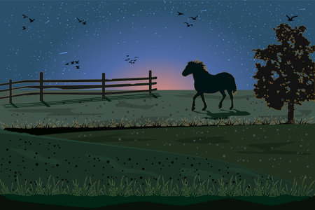 Silhouette of horse grazing in pasture. Night landscape with horse, fence, meadow and sunset starry sky. Evening scene on ranch. Stallion on sunrise background. Equine farm. Stock vector illustrationのイラスト素材
