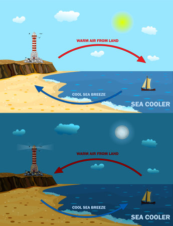Science poster design for land and sea breeze. Local weather cause. Shore wind explanation scheme. Land and sea breeze vector illustration. Day and night air movement comparison with thermal warm and cold air circulation diagram.のイラスト素材
