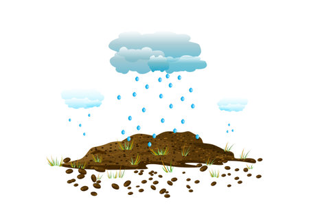 Rain of cloud falling on pile soil with grass. Arid earth, young plant and water drops. Little lawn growing in soil and watered by rain drops. Water shortage and drought. Nature concept. Stock vector illustrationのイラスト素材