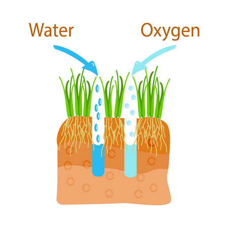 Lawn aeration. Lawn aeration stage. Water, oxygen, air, nutrients and fertilizer access to soil. Lawn grass care, gardening service, benefits of aeration. Lawn core for grassland care. Stock vector illustrationのイラスト素材
