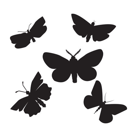 Butterfly silhouette set Isolated on white background. Simple shape collection of butterflies. Butterfly black icon. Flying butterflies silhouette black set. Stock vector illustrationのイラスト素材