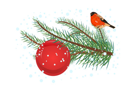 Branch of spruce with ball and bullfinch isolated on white background. Christmas fir, hanging ball, snow and red bird. Christmas composition for Xmas holiday. Spruce twig, ornament and bullfinch. Stock vector illustrationのイラスト素材