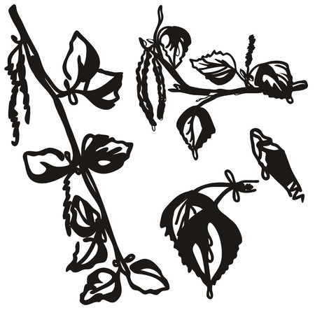 Black elegance hand drawn birch branch isolated on whiteのイラスト素材