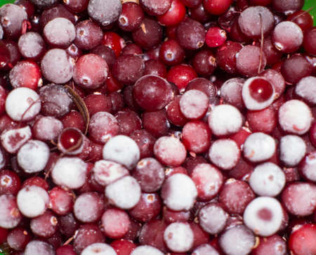 red frozen berries covered with ice and ice, red currants, lingonberries, cranberries, vitamins in winter. view from above. macroの写真素材