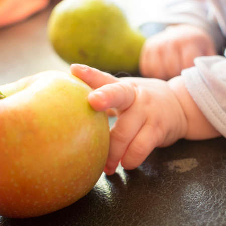 Baby hand holding fruits and vegetablesの写真素材