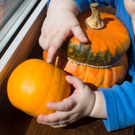 Baby hand holding fruits and vegetablesの写真素材