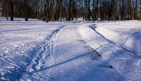Narrow snowy forest road on a sunny winter day