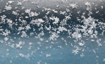 snowflakes on a blue background., natural Christmas bacground. Design template. High quality photo