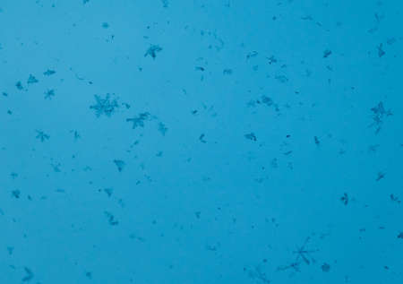 snowflakes on a blue background., natural Christmas bacground. Design template. High quality photoの写真素材
