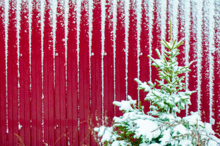 Christmas frame. Fir tree branch on red background. Top view with copy space. High quality photoの写真素材