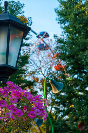 landscape of an amusement park with lantern decorated flowers, background the top of a Ferris wheel showing above the tree tops against a blue sky.の写真素材
