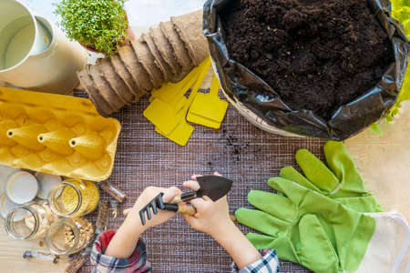 Peat pots, tools and soil are ready for planting seeds. Growing seedlings for gardening. flat layout. high quality photoの写真素材