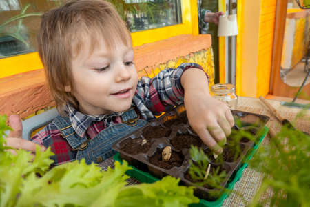 family hobby and time together: home garden care. Planting seed in peat pots and peat tablets. baby plays with seeds, tools and soil are ready for planting. Growing seedlings for gardening.の写真素材