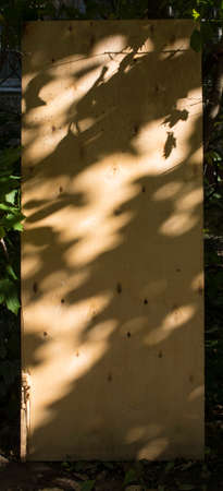 Close-up view of a plywood surface with black shadow from the trees. black leaf shadow on a brown...