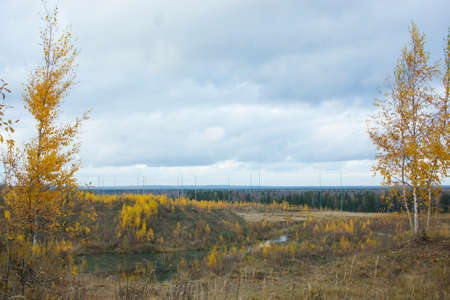 Golden autumn on the swamp. Dawn in the swamp in the Leningrad region. Autumn on the Karelian...