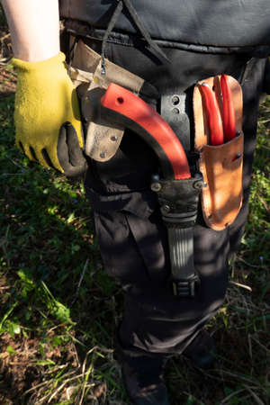 Gardener belt with florist tools. high quality photoの写真素材