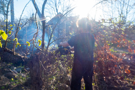 Man pruning and sawing apple tree using chainsaw. farmer sowing the dry branches of apple trees