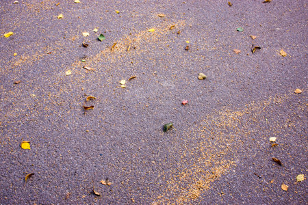 autumn yellow leaves on the surface kmenistoy. Golden leaves give the ground a beautiful appearance High quality photoの写真素材