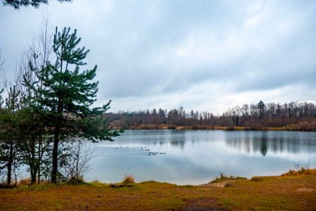 Autumn landscape by the lake and shore. Pond in autumn, yellow leaves, reflection. High quality photoの写真素材