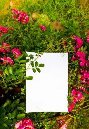White paper and beautiful flowers. High quality photo