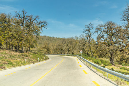 Country road with trees in the foreground and blue sky in the background, Tunisian Landscape, Ain...