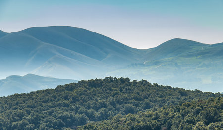 Spectacular View of a Mountain with Trees and the Sky in the Background in Amdoun, Beja, Tunisia