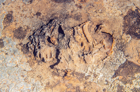 The Majestic Djebel Ousselat. A Limestone Mountain in the Tunisian Dorsal Rangeの写真素材