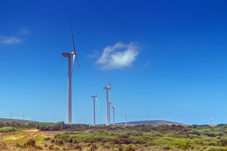 Wind Power Station in El Haouaria, Tunisia.の写真素材