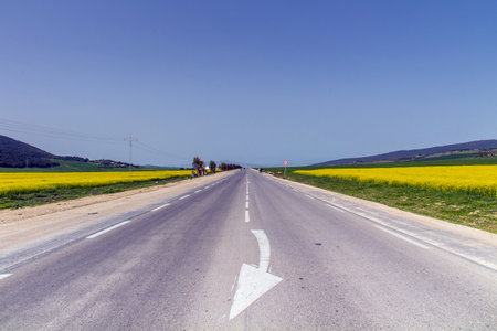 A Road in the Countryside of El Krib, Northwest Tunisia.の写真素材