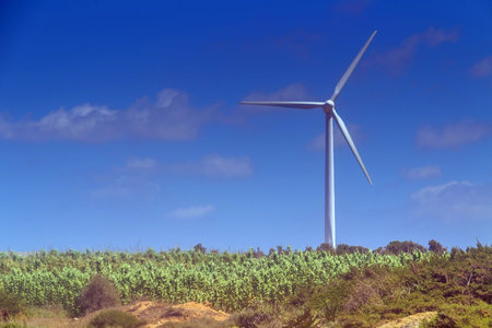 Wind Power Station in El Haouaria, Tunisia.