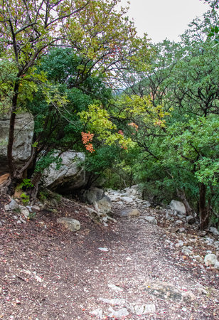 Majestic Djebel Zaghouan: Tunisia's Stunning Mountainの写真素材