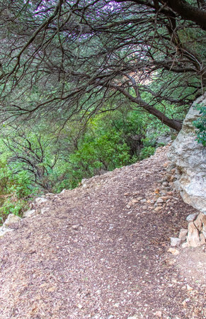 Majestic Djebel Zaghouan: Tunisia's Stunning Mountainの写真素材
