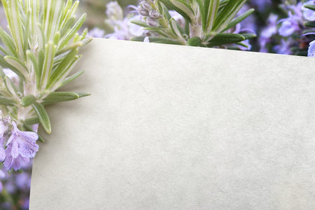 Background for Logo Mockup Template for Brandingの写真素材