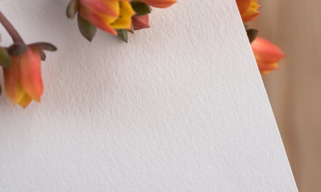 Background for Logo Mockup Template for Brandingの写真素材