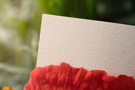 Background for Logo Mockup Template for Brandingの写真素材