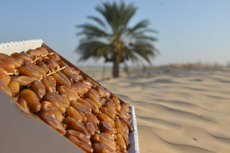 Box of ripe Tunisian dates on desert sand with palm tree behindの写真素材