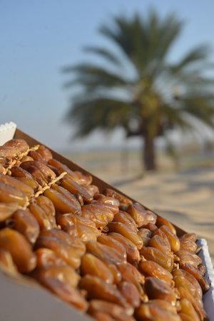 Box of ripe Tunisian dates on desert sand with palm tree behindの写真素材