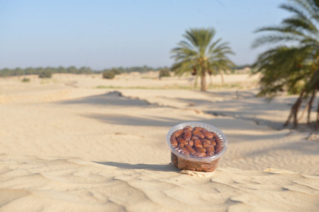 Plastic box of fresh Tunisian dates on desert sand with palm treesの写真素材