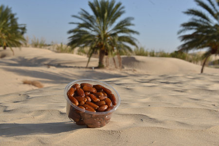 Fresh Tunisian dates in plastic box on golden desert sand with palm treesの写真素材