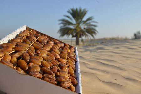 Box of ripe Tunisian dates on desert sand with palm tree behindの写真素材
