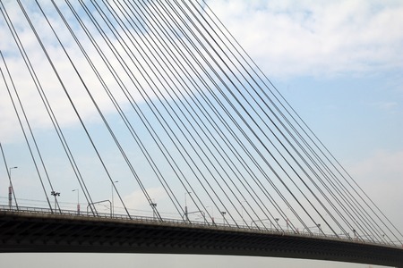Tower Bridge at Ada Belgrade. Cables at tower provide bridge construction. High pylon.