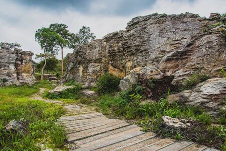 Rock Forest of Nature Trail Thailand