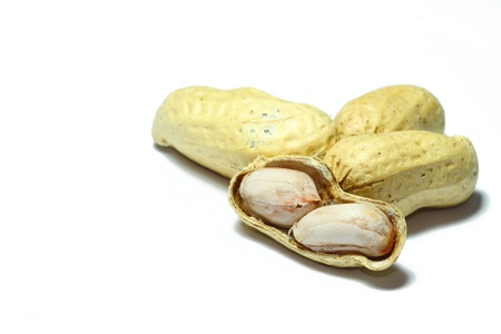 Peanut in isolation